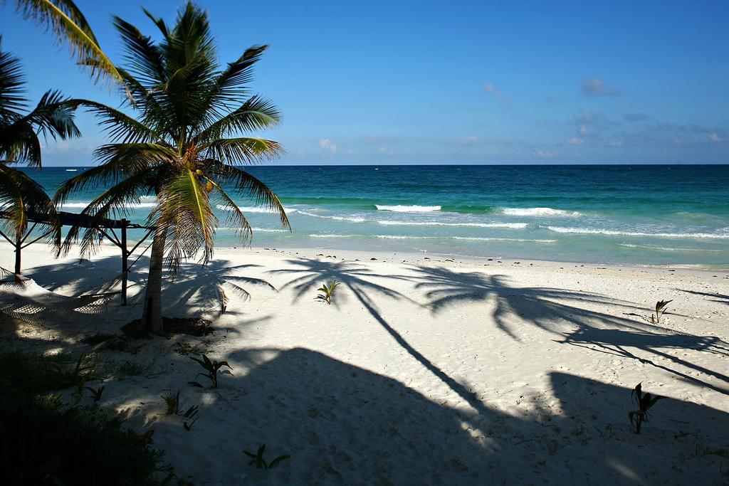 Las Ranitas Eco Boutique Hotel Tulum Exterior photo